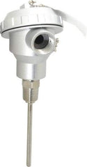Thermo Electric - -148 to 900°F, 100 OMS Industrial RTD, Thermocouple Probe - 1/2 Inch Hex Mount, 4 Inch Probe Sheath Length, 10 Sec Response Time - Apex Tool & Supply