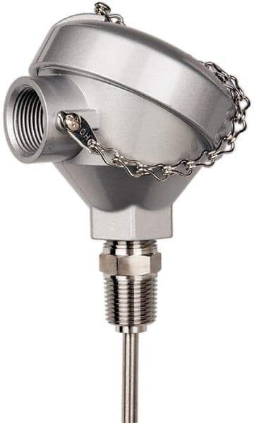 Thermo Electric - -148 to 900°F, 100 OMS Industrial RTD, Thermocouple Probe - 1/2 Inch Hex Mount, 6 Inch Probe Sheath Length, 10 Sec Response Time - Apex Tool & Supply