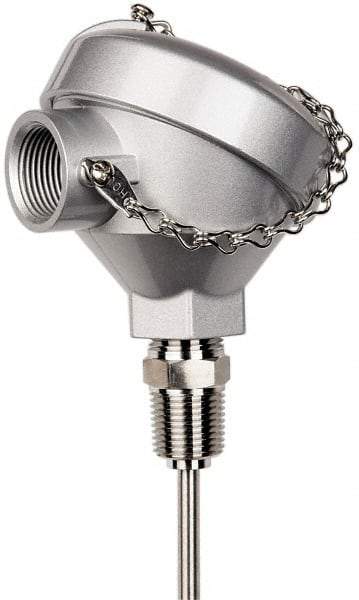 Thermo Electric - -148 to 900°F, 100 OMS Industrial RTD, Thermocouple Probe - 1/2 Inch Hex Mount, 6 Inch Probe Sheath Length, 10 Sec Response Time - Apex Tool & Supply