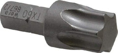 Wera - 5/16" Drive T60 Torx Screwdriver Bit - 1-3/8" OAL - Apex Tool & Supply