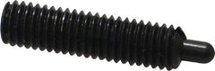 Jergens - M5 x 0.8, 19mm Thread Length, 3mm Plunger Projection, Steel Threaded Spring Plunger - 2.36mm Max Plunger Diam, 19mm Plunger Length, 1.31 Kg Init End Force, 5 Kg Final End Force, 2.5mm Hex - Apex Tool & Supply