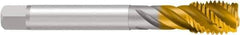 Emuge - 1/8-27 NPS, 45° Helix, 4 Flutes, Bottoming Chamfer, TiN Finish, Cobalt, Spiral Flute Pipe Tap - Right Hand Flute, 0.2756" Shank Diam, 0.7087" Thread Length, 0.2165" Square Size, Series Enorm - Apex Tool & Supply