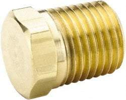 Parker - 3/4 Male Thread, Brass Industrial Pipe Hex Head Plug - MNPTF, 1,000 psi - Apex Tool & Supply