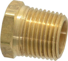 Parker - 1/2 Male Thread, Brass Industrial Pipe Hex Head Plug - MNPTF, 1,000 psi - Apex Tool & Supply