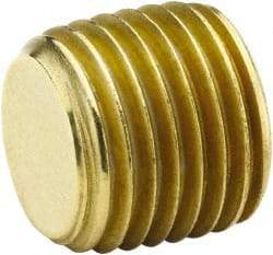 Parker - 3/4 Male Thread, Brass Industrial Pipe Hollow Hex Plug - MNPTF, 1,000 psi - Apex Tool & Supply