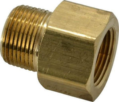 Parker - 3/4 Male Thread x 3/4 Female Thread, Brass Industrial Pipe Adapter - MNPTF x FNPTF, 1,000 psi - Apex Tool & Supply
