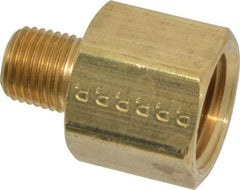 Parker - 1/4 Male Thread x 1/2 Female Thread, Brass Industrial Pipe Adapter - MNPTF x FNPTF, 1,000 psi - Apex Tool & Supply