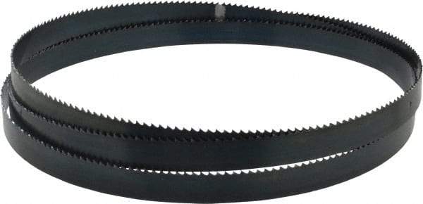 Starrett - 6 TPI, 7' 9" Long x 3/4" Wide x 0.032" Thick, Welded Band Saw Blade - Carbon Steel, Toothed Edge, Raker Tooth Set, Flexible Back, Contour Cutting - Apex Tool & Supply