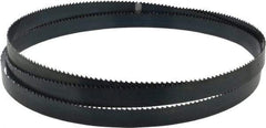 Starrett - 6 TPI, 7' 9" Long x 3/4" Wide x 0.032" Thick, Welded Band Saw Blade - Carbon Steel, Toothed Edge, Raker Tooth Set, Flexible Back, Contour Cutting - Apex Tool & Supply