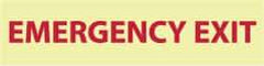 NMC - Emergency Exit, Pressure Sensitive Vinyl Exit Sign - 12" Wide x 3" High, Glow-in-the-Dark - Apex Tool & Supply
