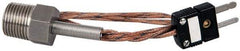 Thermo Electric - 0 to 221°F, J Pipe Plug, Thermocouple Probe - 5 Ft. Cable Length, Mini Connector, 10 Sec Response Time - Apex Tool & Supply