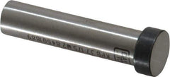 Dayton Lamina - 1/2" Head Diam, 3/8" Shank Diam, Basic Head, M2 Grade High Speed Steel, Solid Mold Die Blank & Punch - 3/16" Head Height, 1-3/4" OAL, Blank Punch, Regular (KPB) Series - Apex Tool & Supply