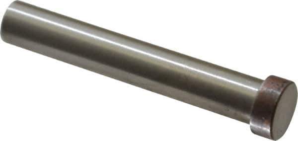 Dayton Lamina - 1/2" Head Diam, 3/8" Shank Diam, Basic Head, A2 Grade Tool Steel, Solid Mold Die Blank & Punch - 3/16" Head Height, 2-1/2" OAL, Blank Punch, Regular (KPB) Series - Apex Tool & Supply