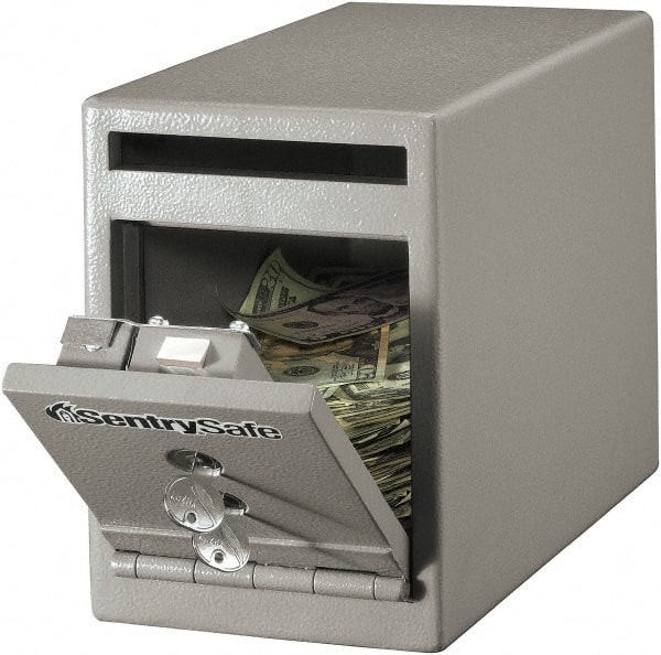 Sentry Safe - 0.25 Cubic Ft. Personal Safe - Apex Tool & Supply