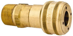 Parker - 3/4-14 Male NPT Industrial Pneumatic Hose Coupler - Brass, 1/2" Body Diam - Apex Tool & Supply