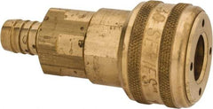 Parker - Hose Barb Industrial Pneumatic Hose Coupler - Brass, 1/2" Body Diam, 1/2" Hose ID - Apex Tool & Supply