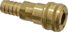 Parker - Hose Barb Industrial Pneumatic Hose Coupler - Brass, 1/2" Body Diam, 3/4" Hose ID - Apex Tool & Supply