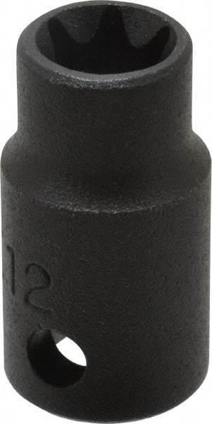 Proto - 3/8" Drive Impact Socket - 1-1/4" OAL - Apex Tool & Supply