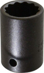 Proto - 1/2" Drive 13/16" Standard Impact Socket - 12 Points, 1-5/8" OAL - Apex Tool & Supply