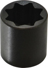 Proto - 1/2" Drive 13/16" Standard Impact Socket - 8 Points, 1-1/2" OAL - Apex Tool & Supply