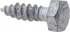 Value Collection - 1/4" Screw, 1" Length Under Head, Steel, Hex Head Lag Screw - Hot Dipped Galvanized, Grade 2 - Apex Tool & Supply