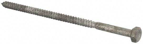 Value Collection - 1/4" Screw, 5-1/2" Length Under Head, Steel, Hex Head Lag Screw - Hot Dipped Galvanized, Grade 2 - Apex Tool & Supply
