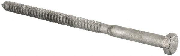 Value Collection - 1/2" Screw, 9" Length Under Head, Steel, Hex Head Lag Screw - Hot Dipped Galvanized, Grade 2 - Apex Tool & Supply