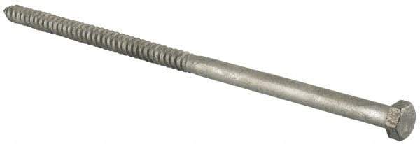 Value Collection - 1/2" Screw, 12" Length Under Head, Steel, Hex Head Lag Screw - Hot Dipped Galvanized, Grade 2 - Apex Tool & Supply