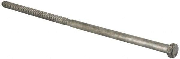 Value Collection - 1/2" Screw, 14" Length Under Head, Steel, Hex Head Lag Screw - Hot Dipped Galvanized, Grade 2 - Apex Tool & Supply