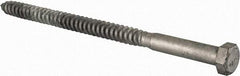 Value Collection - 5/8" Screw, 10" Length Under Head, Steel, Hex Head Lag Screw - Hot Dipped Galvanized, Grade 2 - Apex Tool & Supply