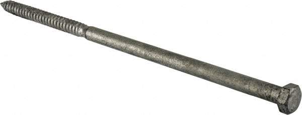 Value Collection - 5/8" Screw, 16" Length Under Head, Steel, Hex Head Lag Screw - Hot Dipped Galvanized, Grade 2 - Apex Tool & Supply
