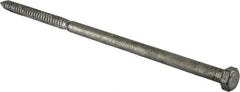 Value Collection - 5/8" Screw, 16" Length Under Head, Steel, Hex Head Lag Screw - Hot Dipped Galvanized, Grade 2 - Apex Tool & Supply