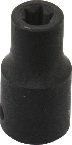 Blackhawk by Proto - 1/4" Drive Impact Socket - 1-1/8" OAL - Apex Tool & Supply