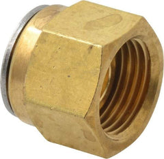 Ham-Let - 3/8" OD, Brass Plug - Comp Ends - Apex Tool & Supply
