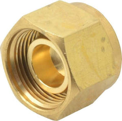 Ham-Let - 1/2" OD, Brass Plug - Comp Ends - Apex Tool & Supply
