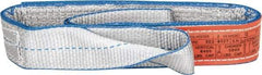 Lift-All - 3' Long x 2" Wide, 6,400 Lb Vertical Capacity, 2 Ply, Polyester Web Sling - 5,000 Lb Choker Capacity, Silver (Color) - Apex Tool & Supply