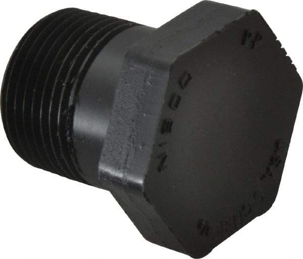 NIBCO - 3/4" Polypropylene Plastic Pipe Threaded Plug - Schedule 80, MPT End Connections - Apex Tool & Supply
