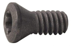Seco - Lock Screw for Indexable Turning - For Use with Inserts - Apex Tool & Supply