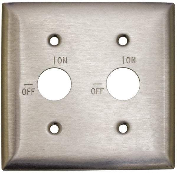 Hubbell Wiring Device-Kellems - 2 Gang, 5-3/4 Inch Long, Switch Plate - 2 Barrel Key Switches, Gray, Stainless Steel - Apex Tool & Supply