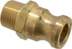 EVER-TITE Coupling Products - 1/2" Brass Cam & Groove Suction & Discharge Hose Male Adapter Male NPT Thread - Part F, 1/2" Thread, 350 Max psi - Apex Tool & Supply