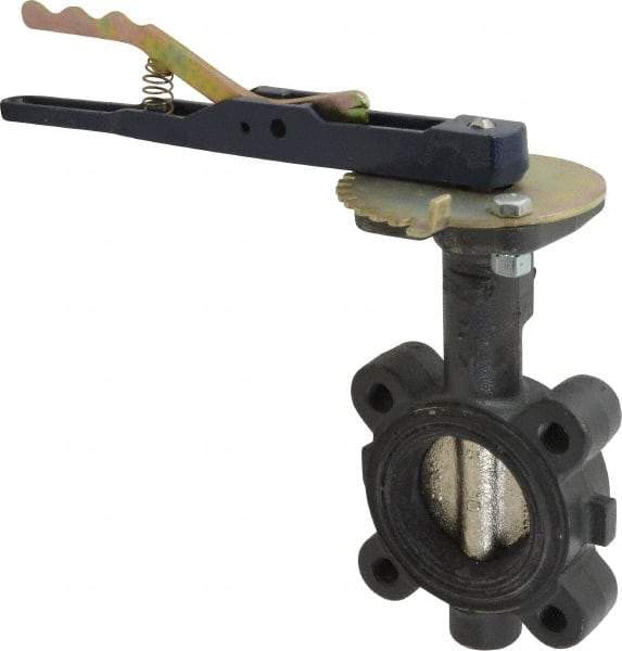 NIBCO - 2" Pipe, Lug Butterfly Valve - Lever Handle, Ductile Iron Body, EPDM Seat, 250 WOG, Ductile Iron Disc, Stainless Steel Stem - Apex Tool & Supply