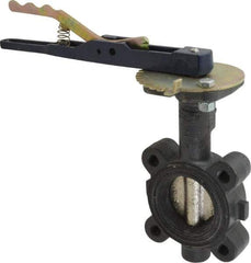 NIBCO - 2" Pipe, Lug Butterfly Valve - Lever Handle, Ductile Iron Body, EPDM Seat, 250 WOG, Ductile Iron Disc, Stainless Steel Stem - Apex Tool & Supply