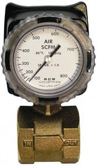 Made in USA - 2" NPT Port RCM Industries Flo-Gage Flowmeter - 180 Max psi, Bronze - Apex Tool & Supply