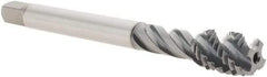 Emuge - 1/2-13 UNC 4 Flute 2B Bottoming Spiral Flute Tap - Cobalt, TiCN Finish, 4.331" OAL, Right Hand Flute, Right Hand Thread - Apex Tool & Supply