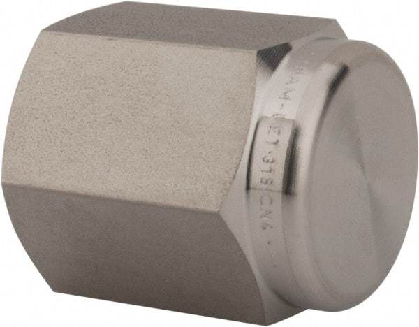 Ham-Let - 1/4" Grade 316 Stainless Steel Pipe End Cap - FNPT End Connections, 6,200 psi - Apex Tool & Supply