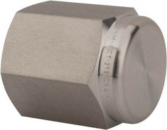 Ham-Let - 1/4" Grade 316 Stainless Steel Pipe End Cap - FNPT End Connections, 6,200 psi - Apex Tool & Supply