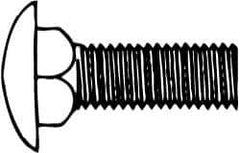 Value Collection - M8x1.25 16mm Length Under Head, Standard Square Neck, Carriage Bolt - Austenitic Grade A2 Stainless Steel, - Apex Tool & Supply