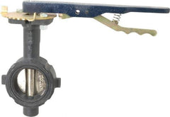 NIBCO - 2" Pipe, Wafer Butterfly Valve - Lever Handle, Ductile Iron Body, Buna-N Seat, 250 WOG, Ductile Iron Disc, Stainless Steel Stem - Apex Tool & Supply