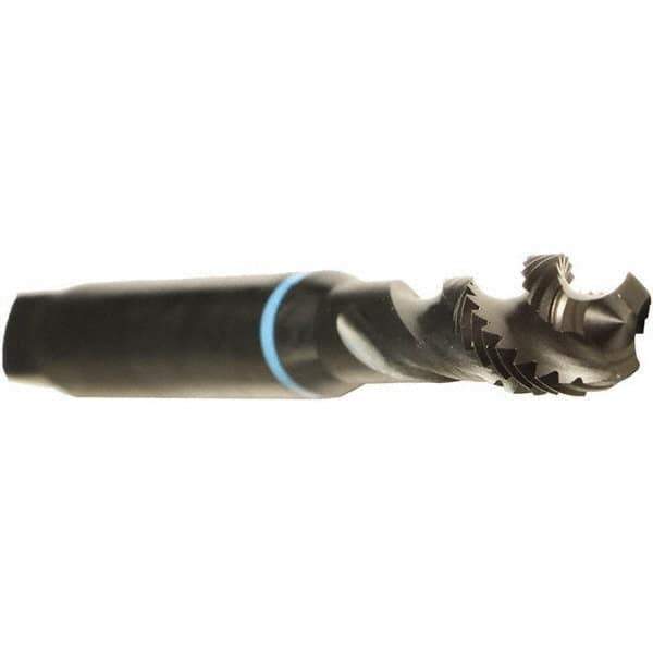 Emuge - #0-80 UNF 2 Flute 2B Modified Bottoming Spiral Flute Tap - Cobalt, Oxide Finish, 1.626" OAL, Right Hand Flute, Right Hand Thread, Series Enorm - Apex Tool & Supply