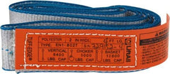 Lift-All - 4' Long x 2" Wide, 6,400 Lb Vertical Capacity, 1 Ply, Polyester Web Sling - 5,000 Lb Choker Capacity - Apex Tool & Supply